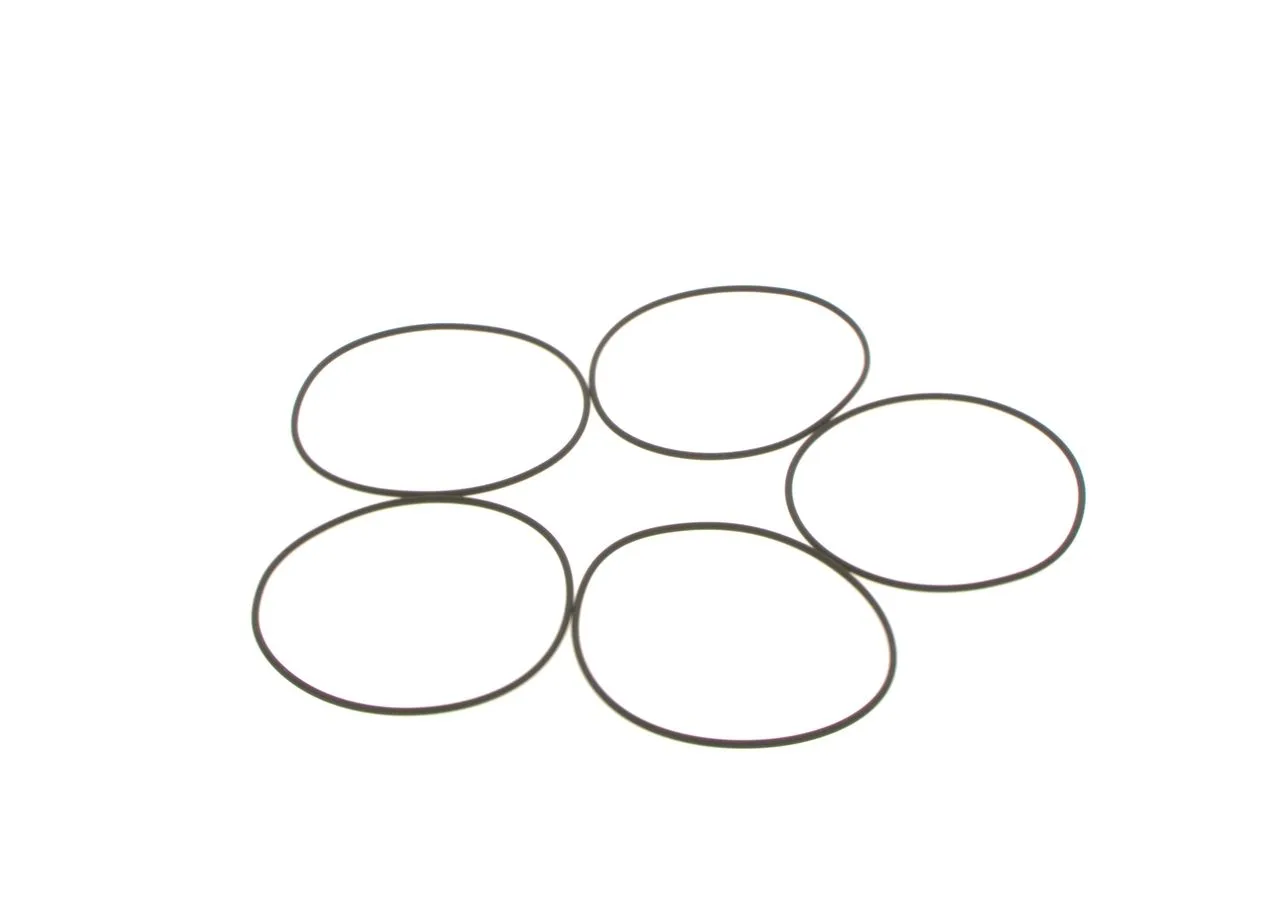 O-ring