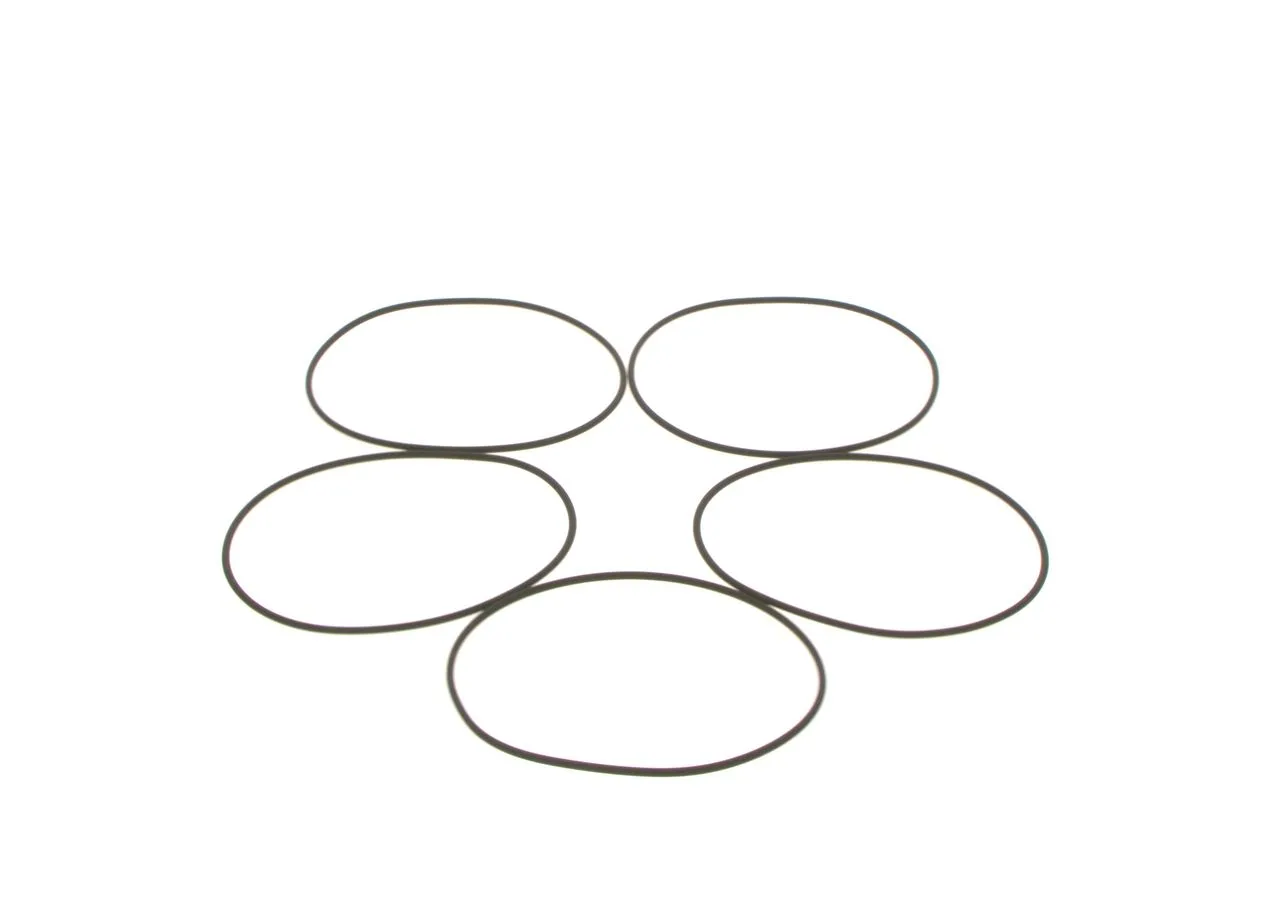 O-ring