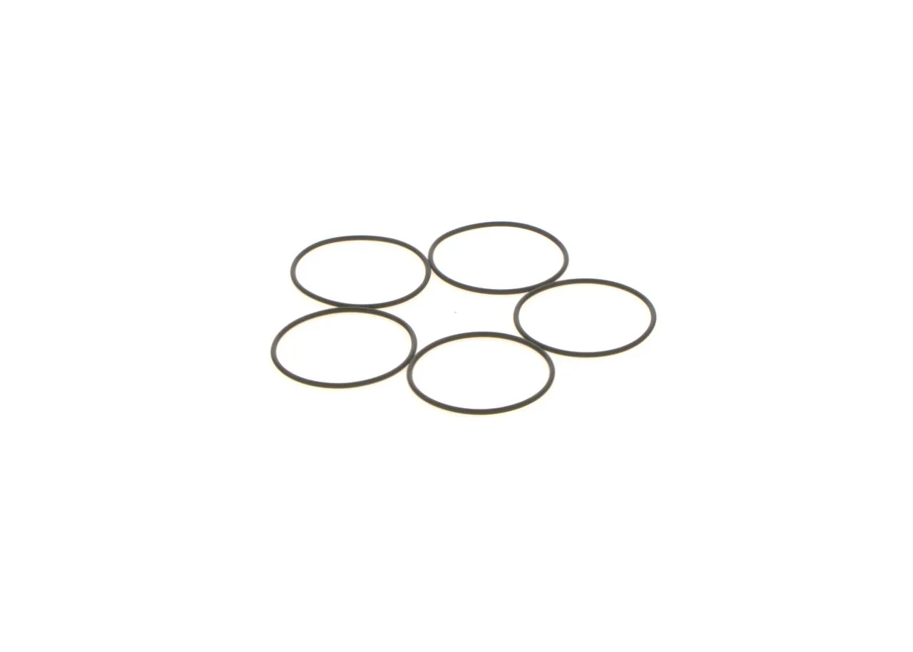 O-ring
