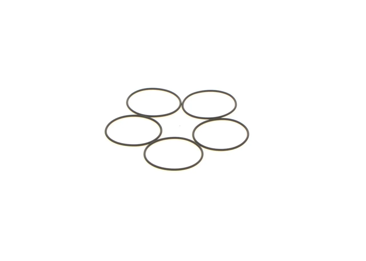 O-ring
