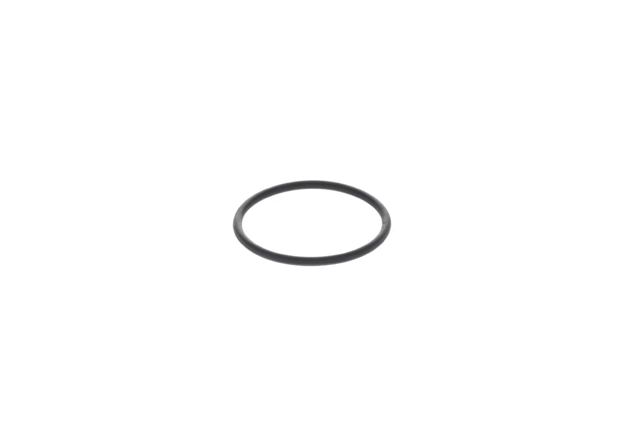 O-ring