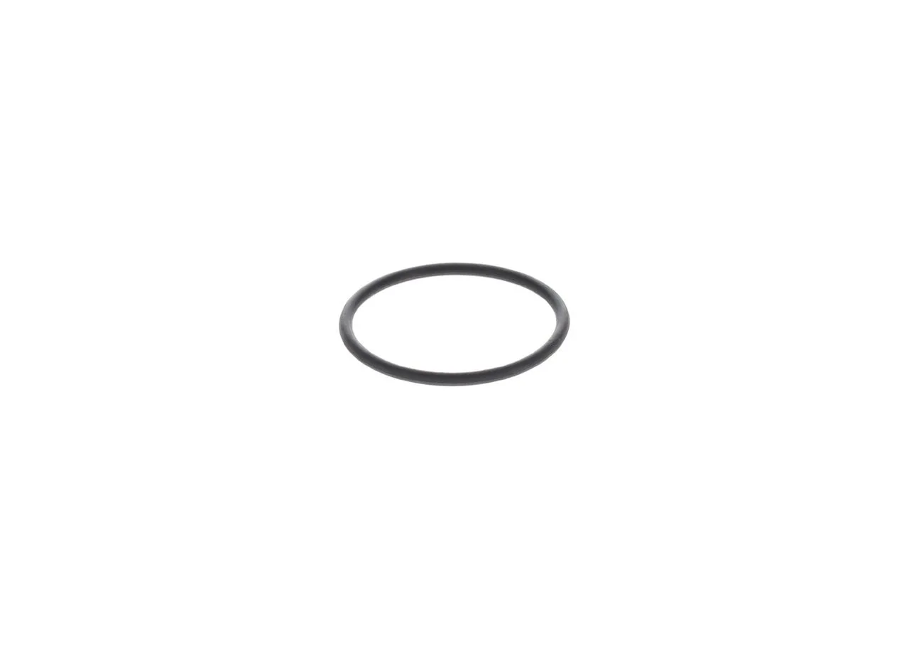 O-ring