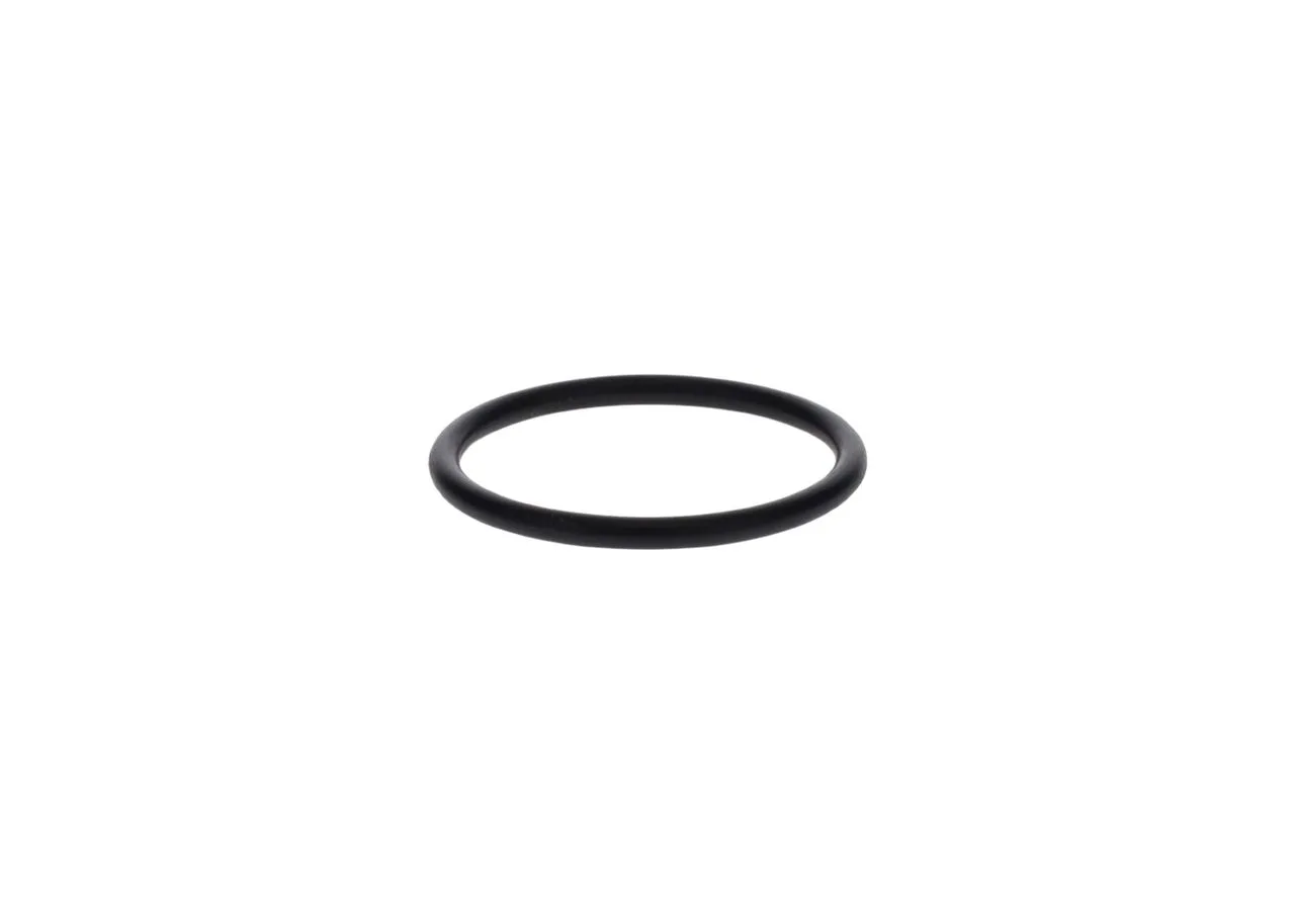 O-ring