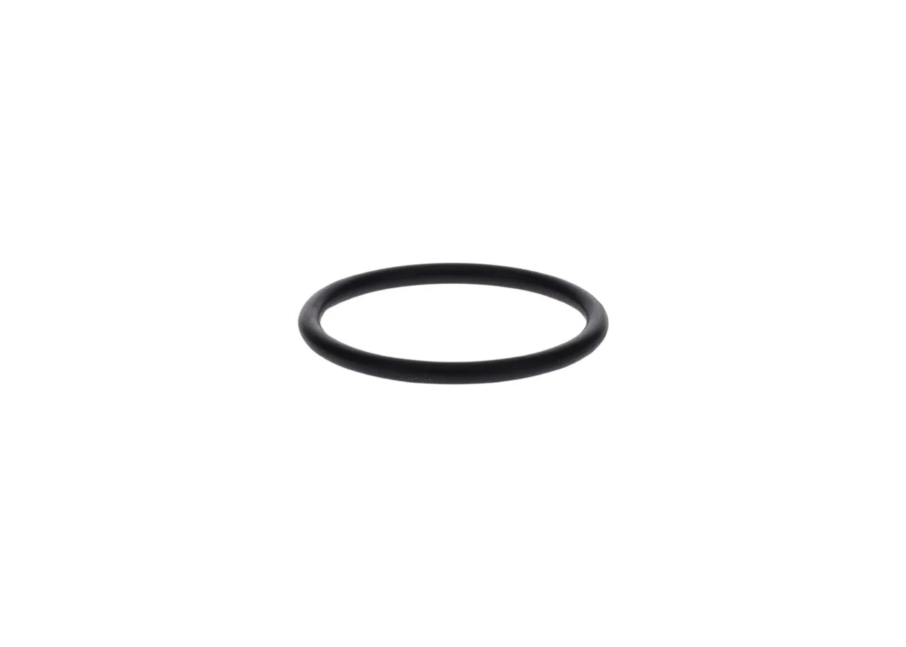 O-ring
