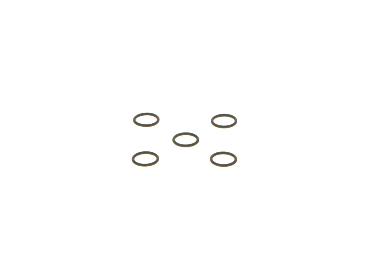 O-ring