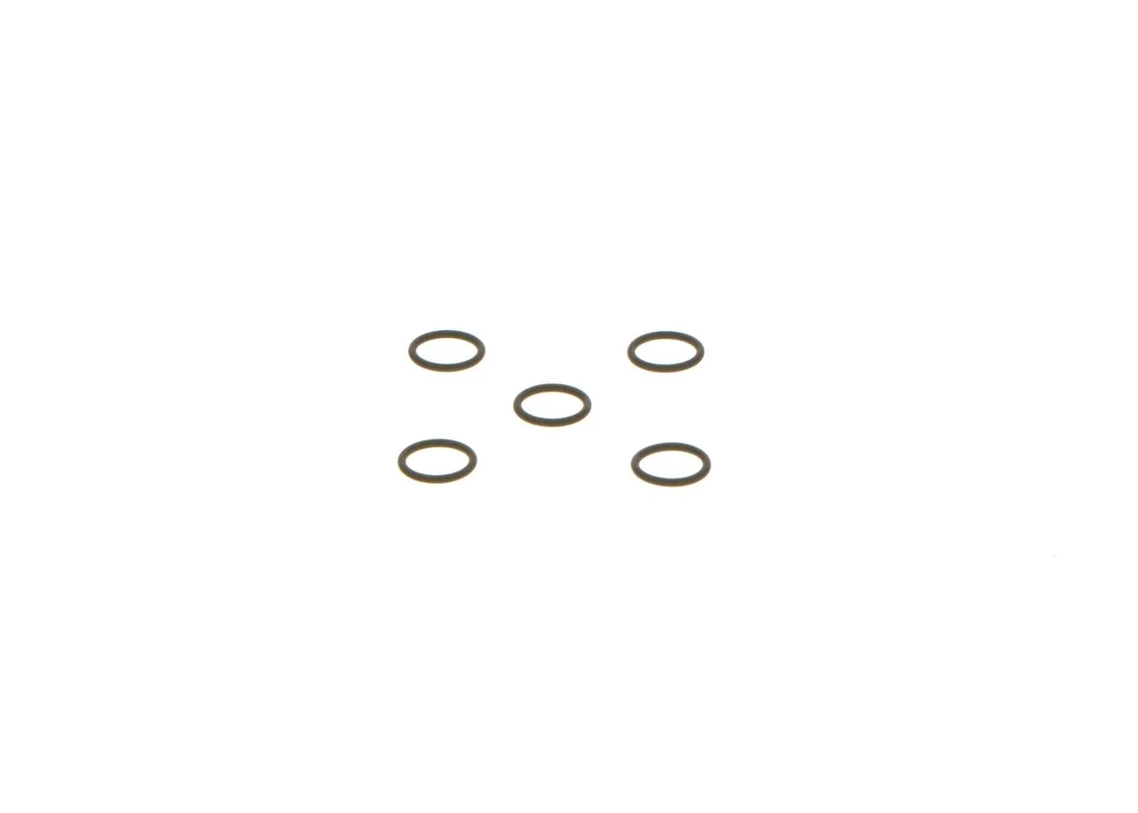 O-ring