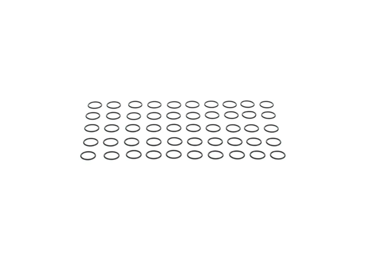 O-ring