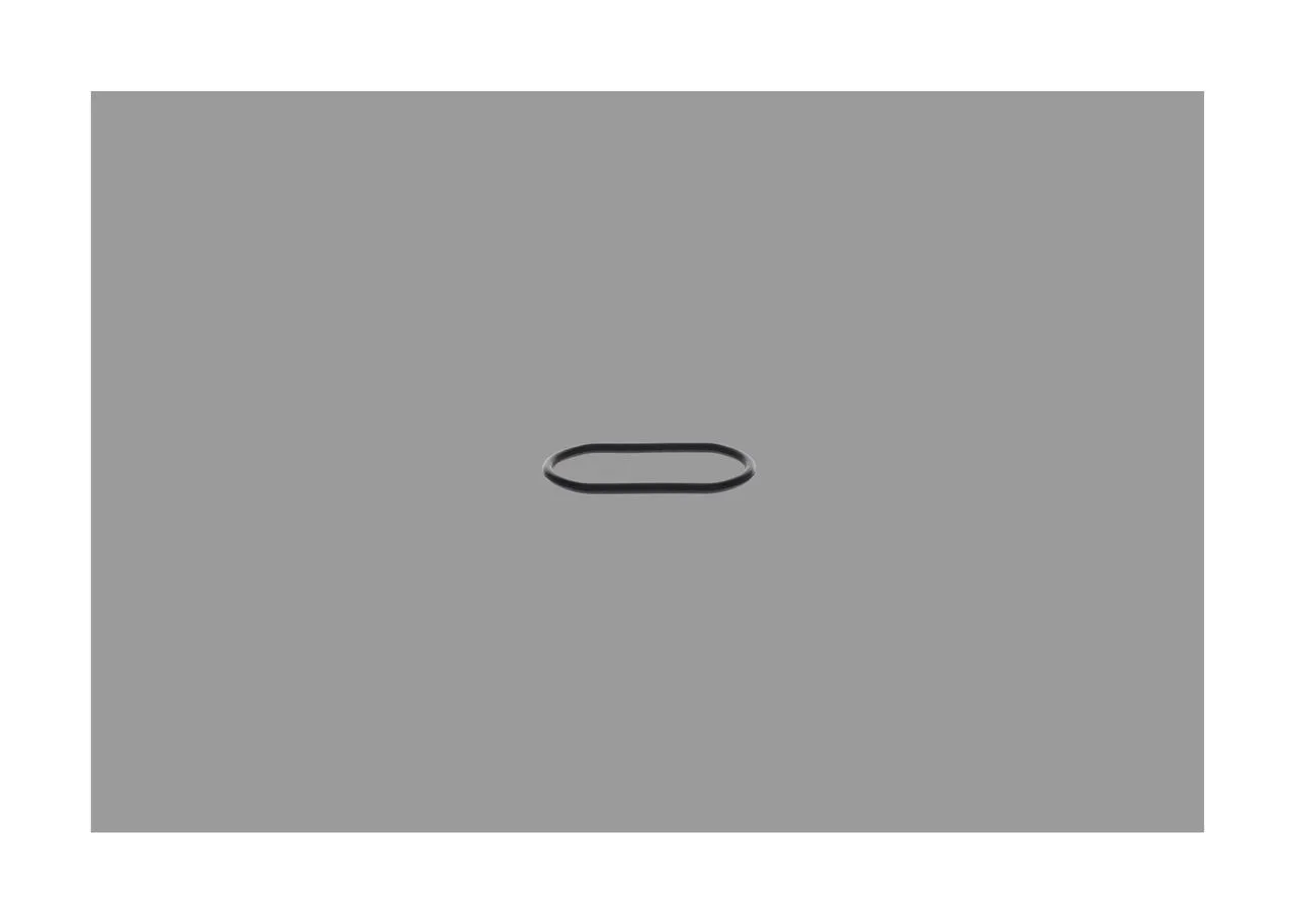 O-ring