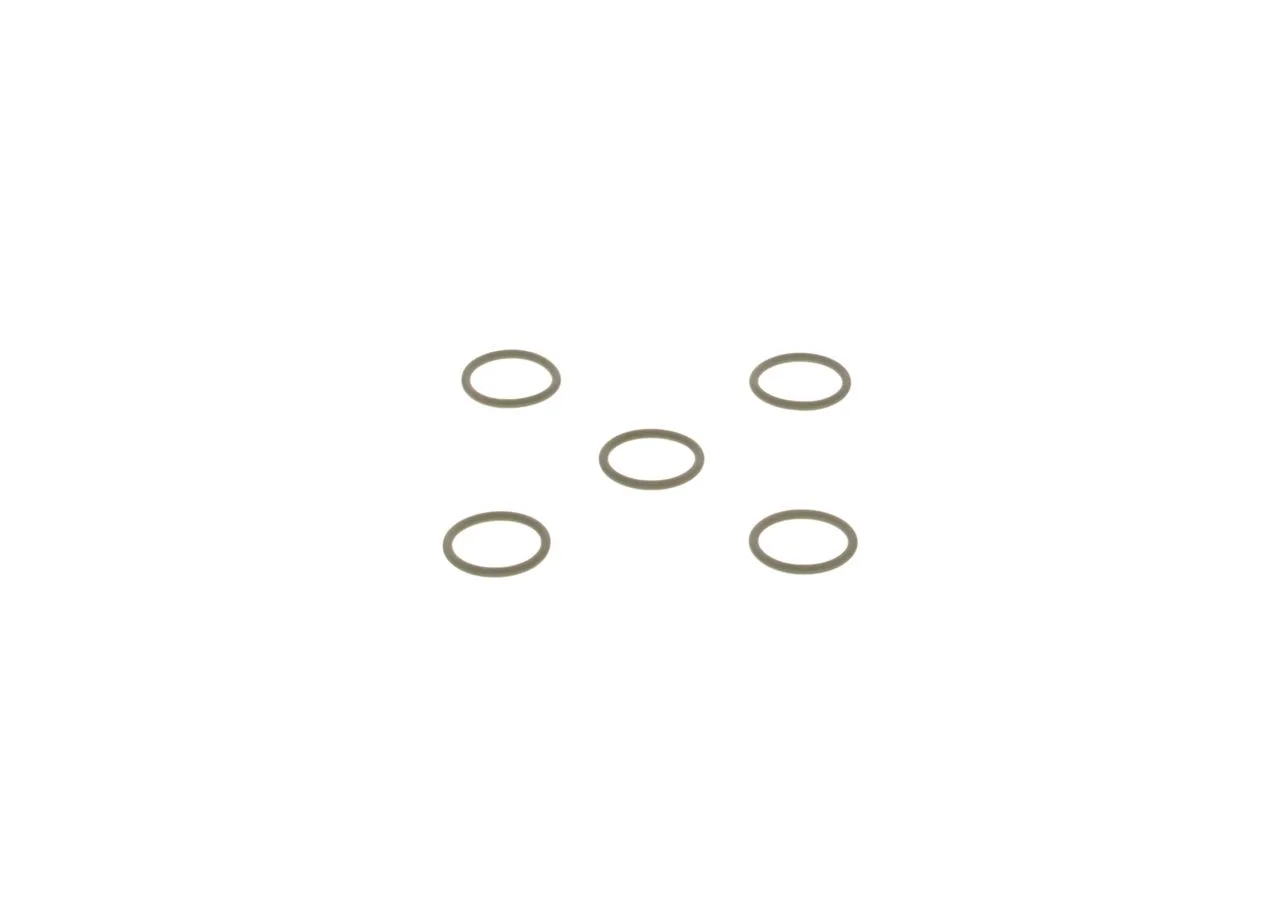 O-ring