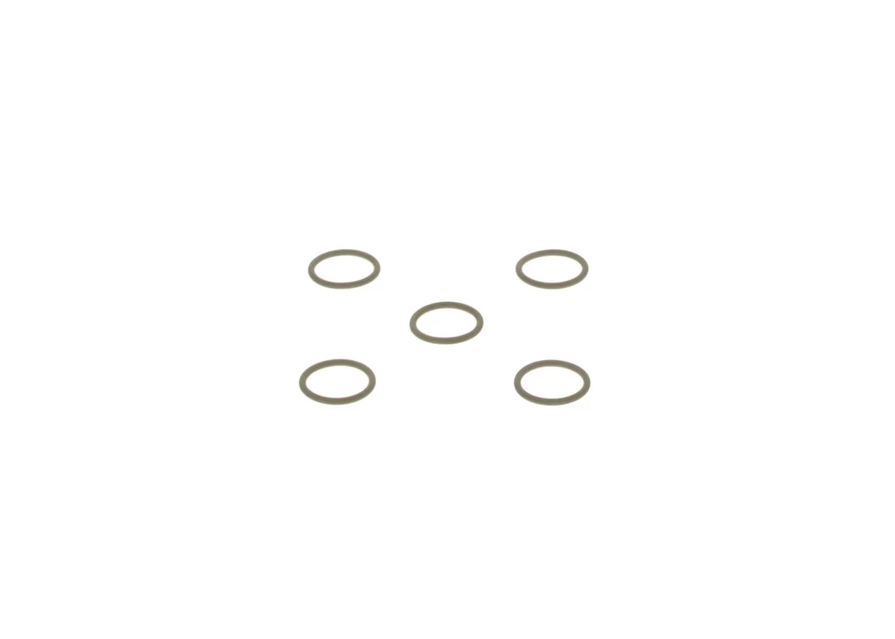 O-ring