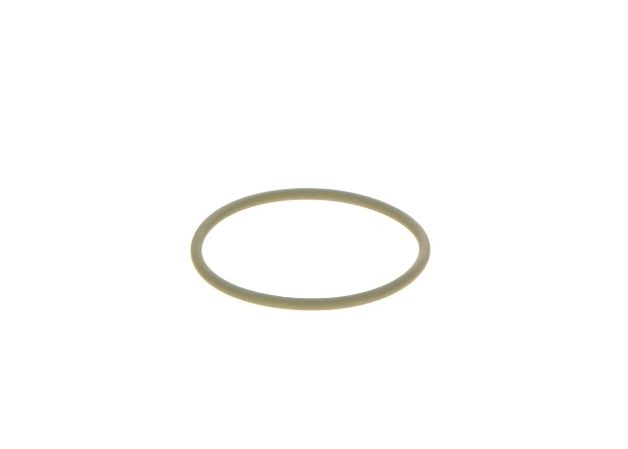 O-ring