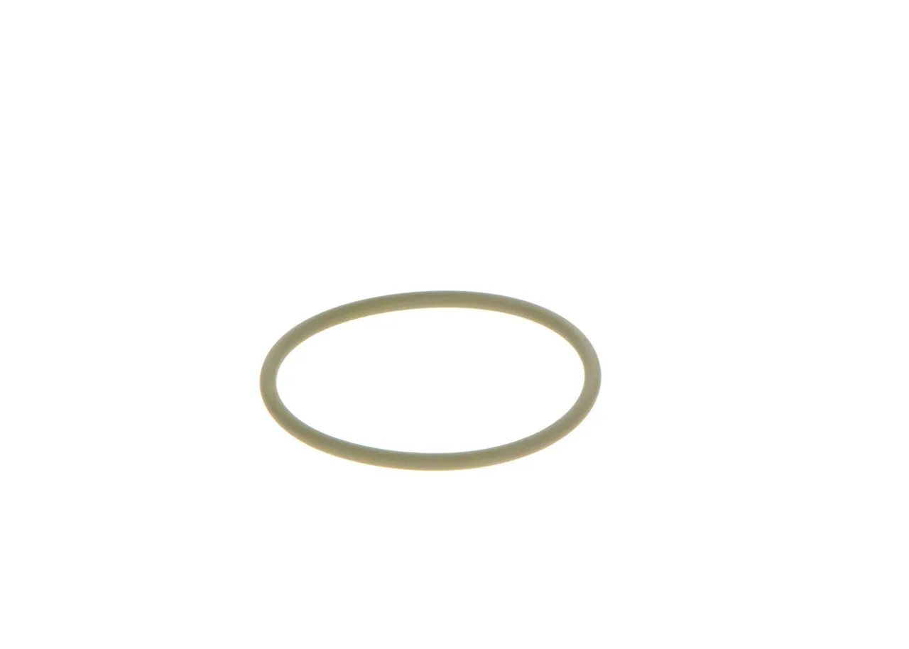 O-ring