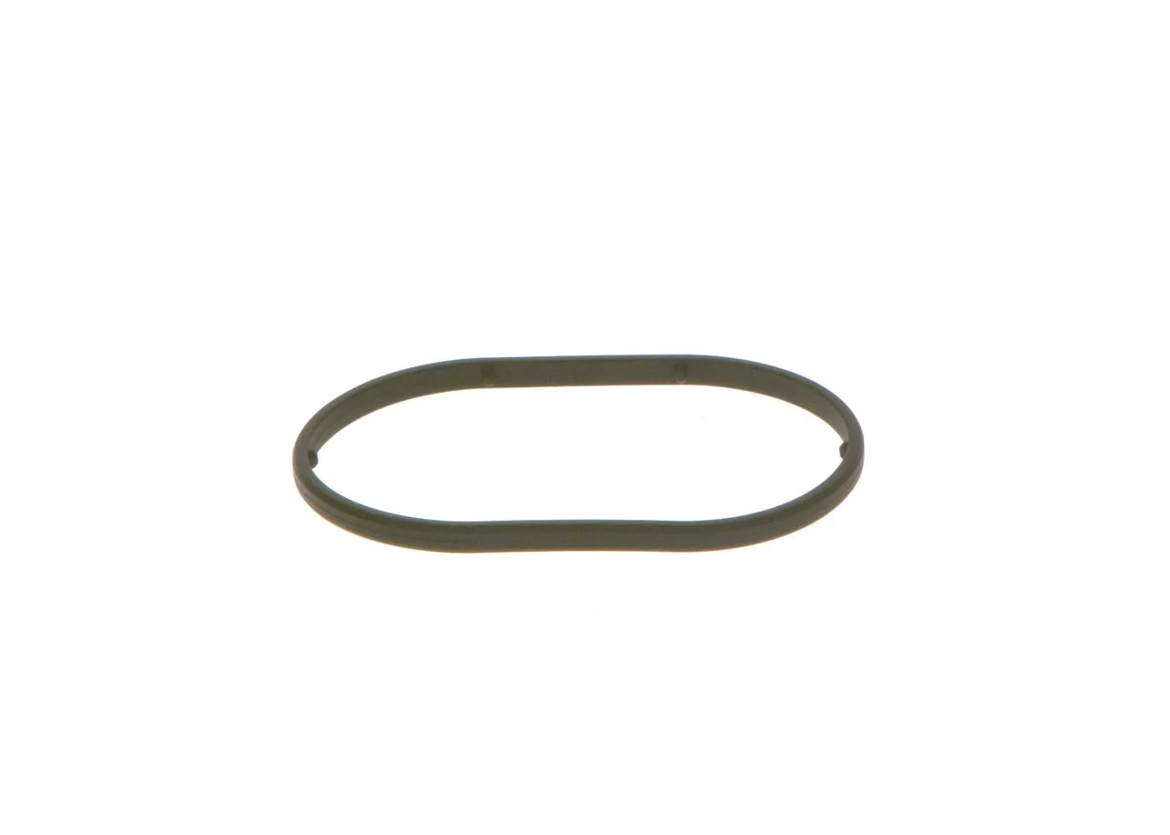 O-ring CP1H