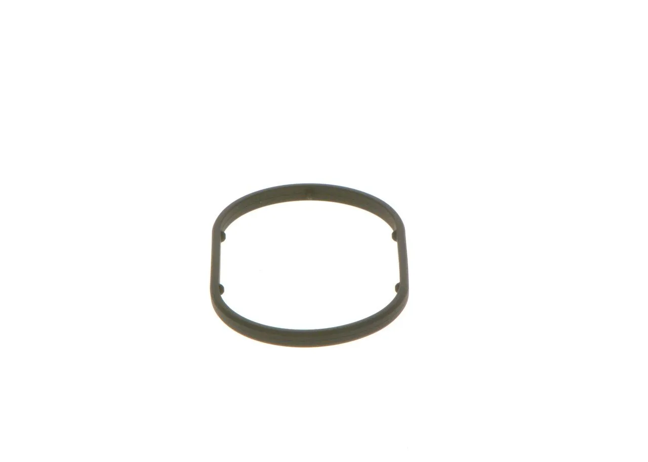 O-ring CP1H