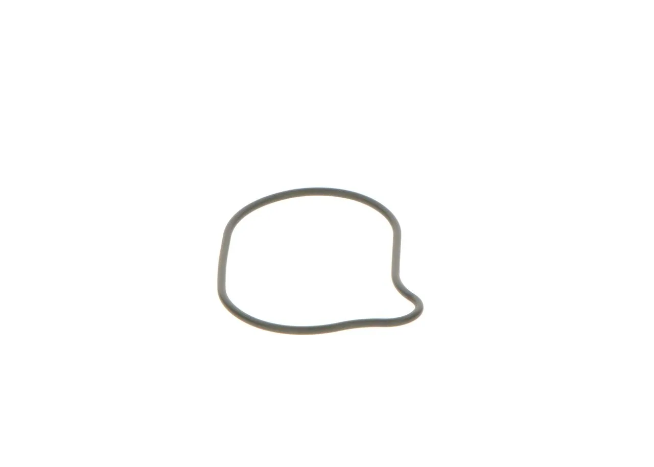 O-ring
