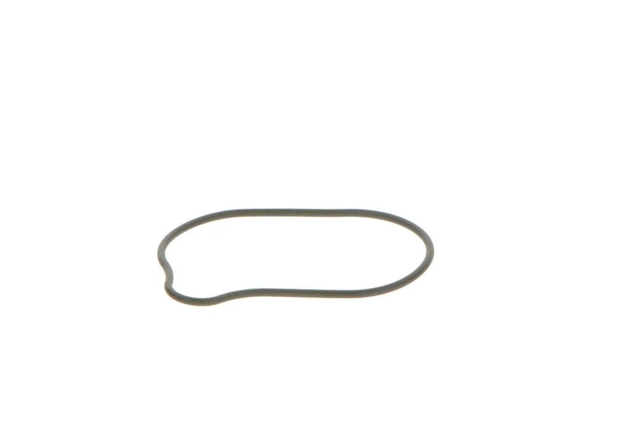 O-ring