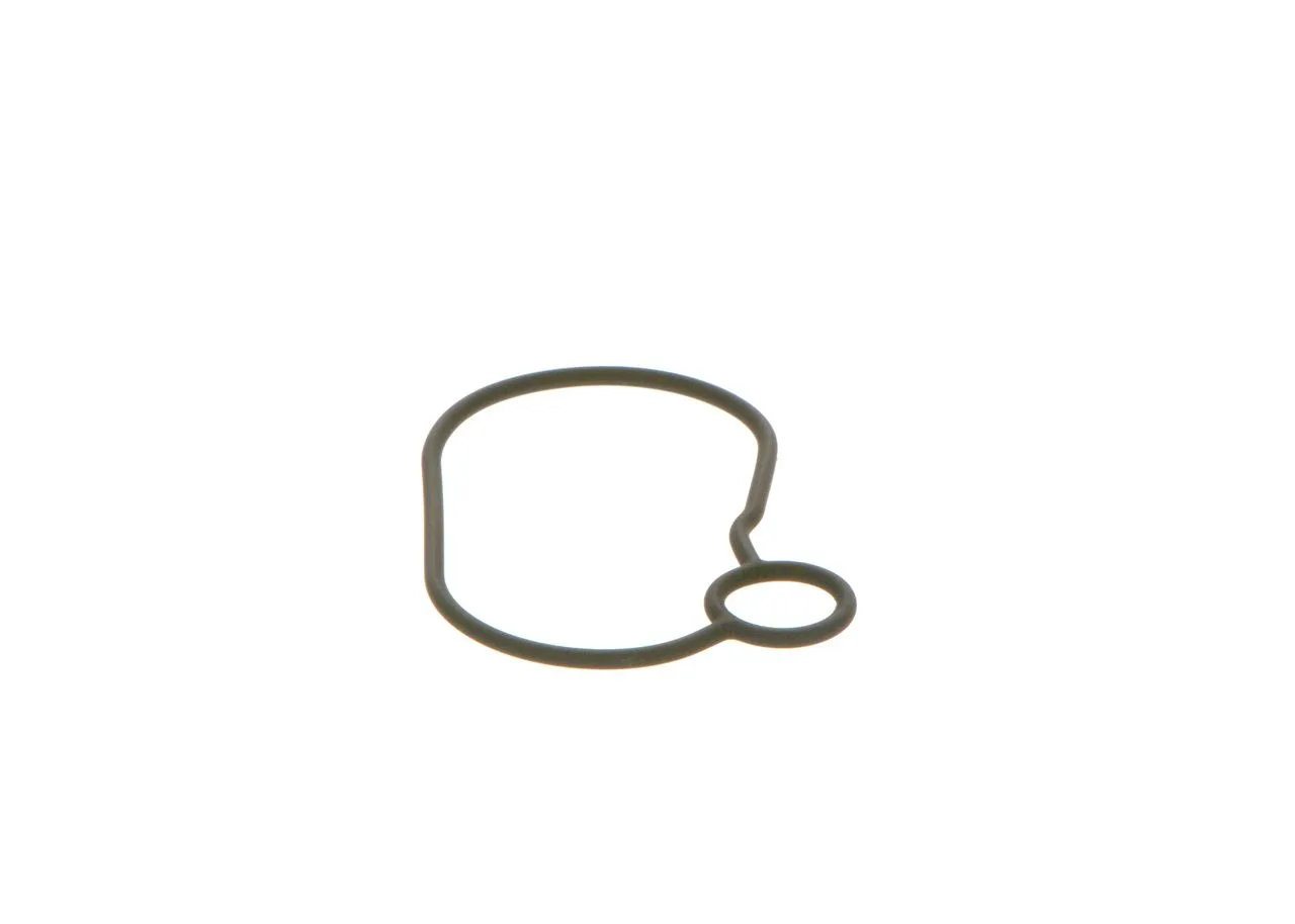 O-ring