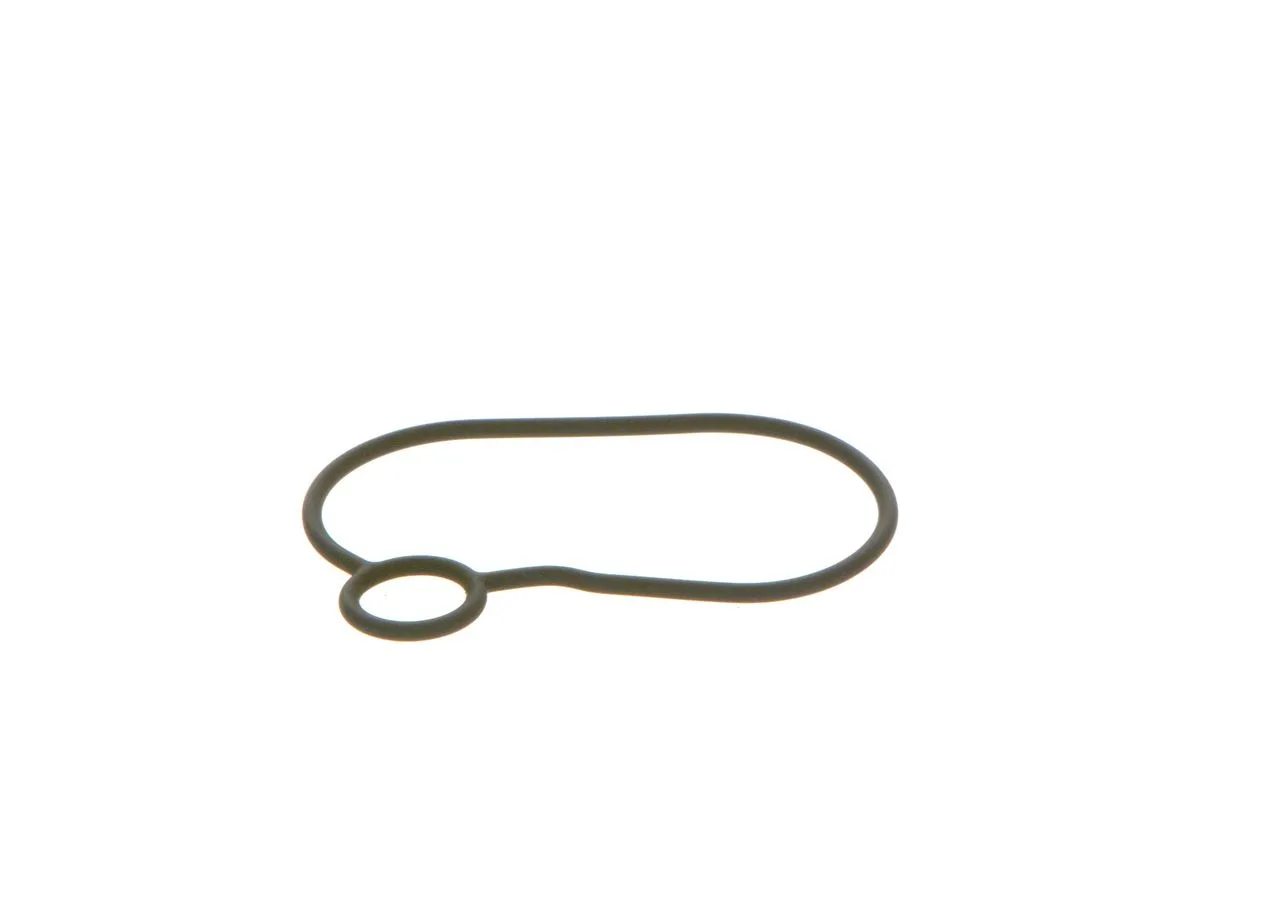 O-ring