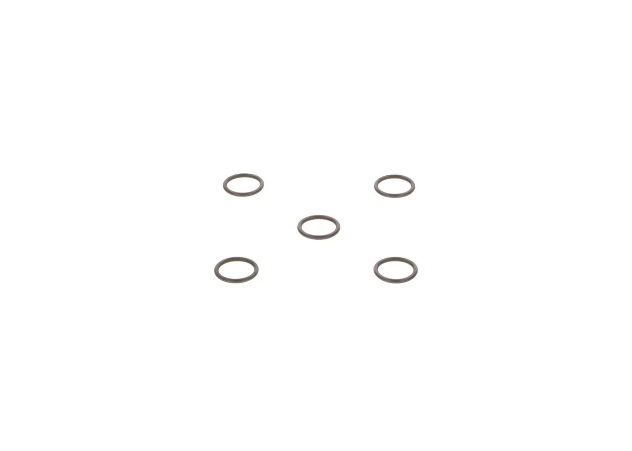 O-ring