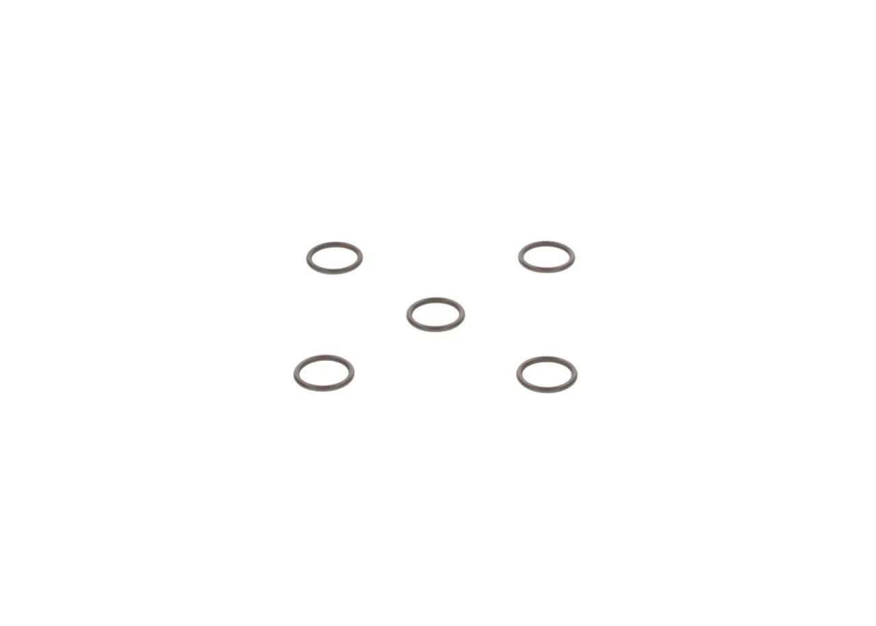 O-ring
