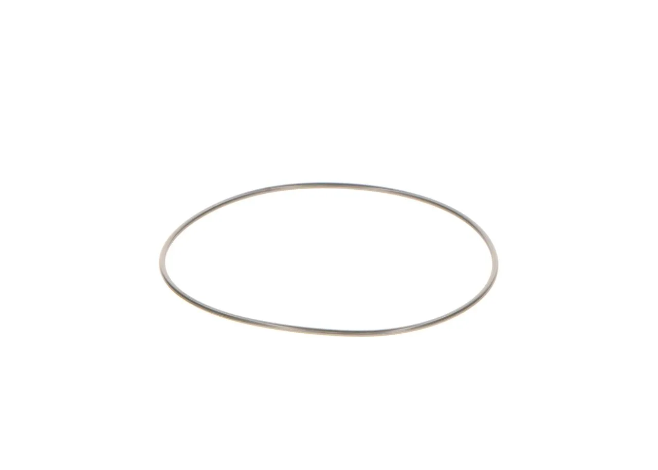 O-ring CP2