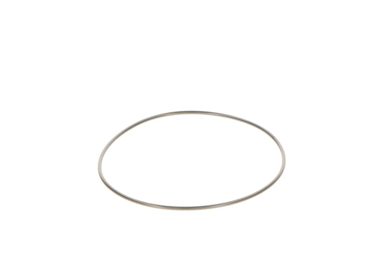 O-ring CP2