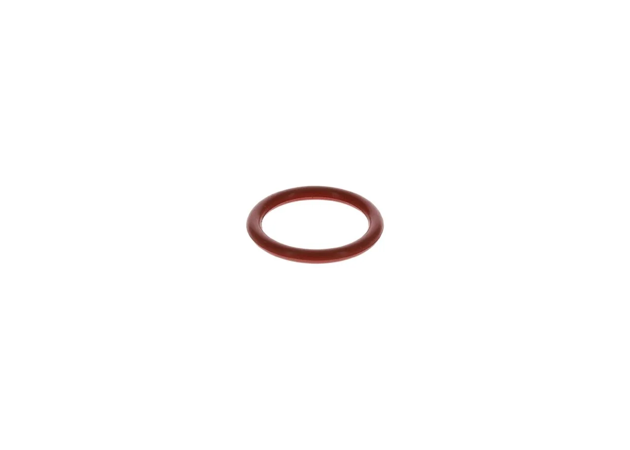 O-ring